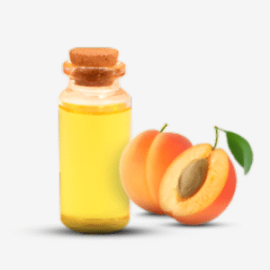 Apricot seed