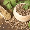 Coriander