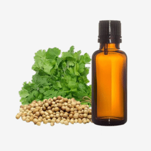 Coriander