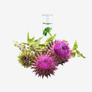 Milk Thistle