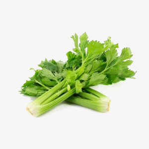 Celery