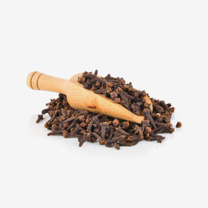 Clove Bud