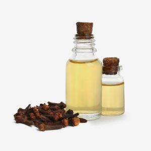 Clove Bud
