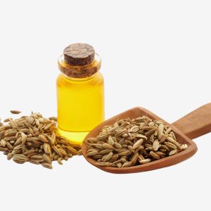 Fennel