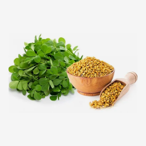 Fenugreek