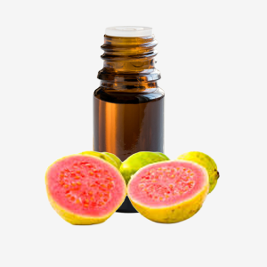 Guava