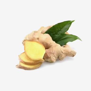 Ginger