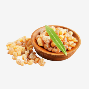 Indian Frankincense
