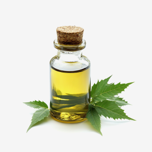 Neem Seed