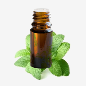 Peppermint