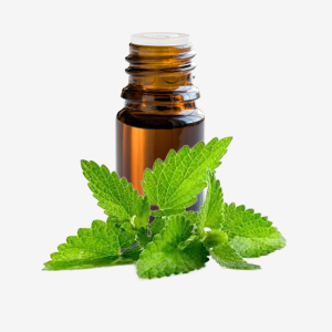 Spearmint