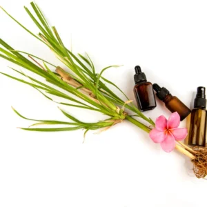 Vetiver