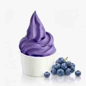 blueberry-premix-powder-biomasdar